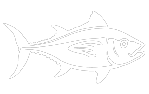 Yellowfin Tuna (584x368)
