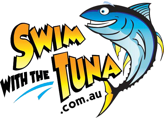 Swim With The Tuna Charters - Great White Shark (532x383)