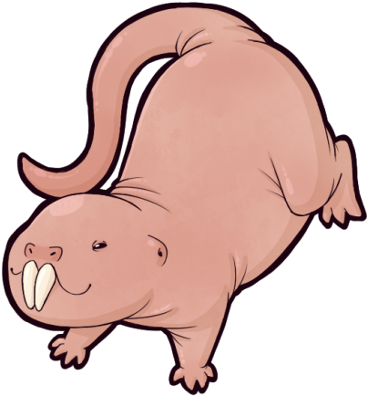 I Love Naked Mole Rats - I Love Naked Mole Rats (652x709)