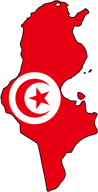 Tunisia Flag Tunisia Flag Map Tunisia Flag Icon - Tunisia Png (326x640)