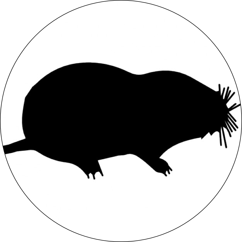Mole Control Hampshire - Moles (968x968)