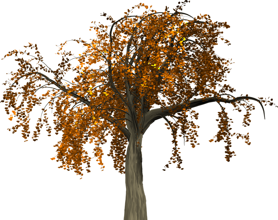 Fall Trees Clipart 21, - Red Flower Tree Png (911x720)