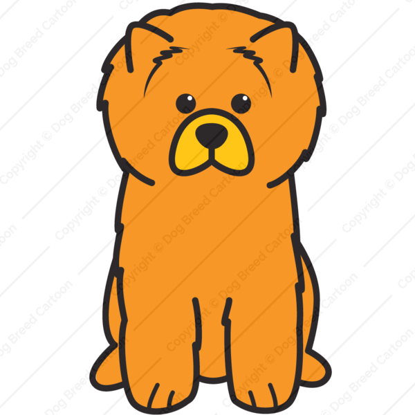 Chow Chow Clipart - Draw A Chow Chow Easy (600x600)