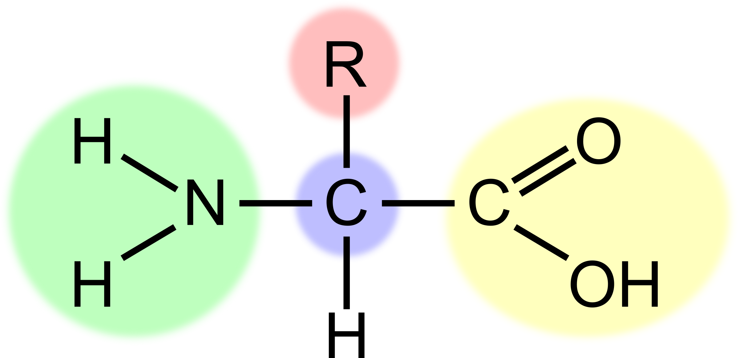 Images amino acid. 20 белковых аминокислот формулы. Горение аминокислот. Белковые аминокислоты формулы. Аминокислоты.