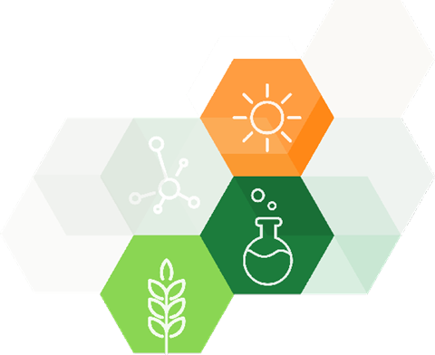 Global Team Cracks Ancestor Genome Of Groundnut - Emblem (480x392)