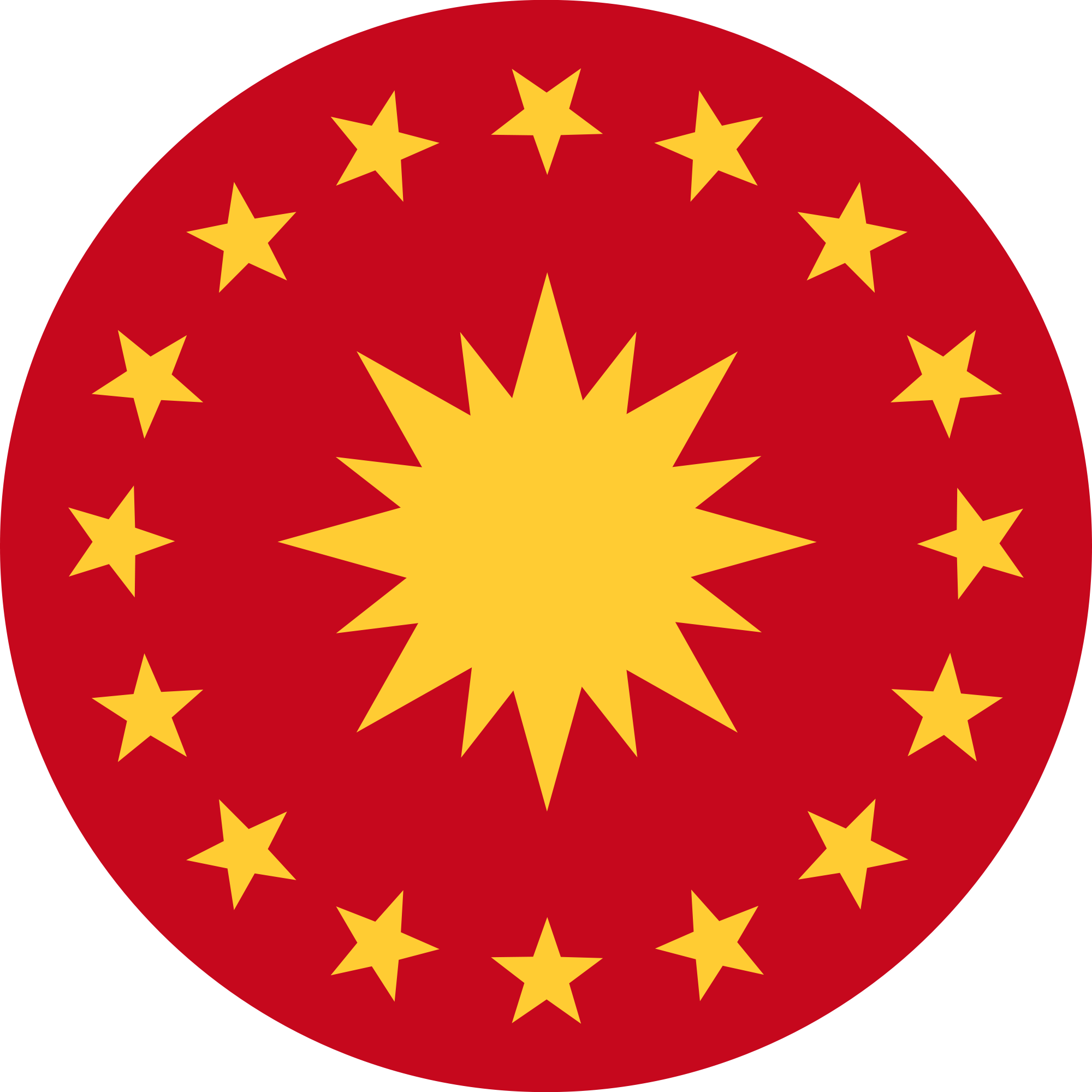 Emblem Of The President Of Turkey - Presidential Seal Of Turkey (2000x2000)