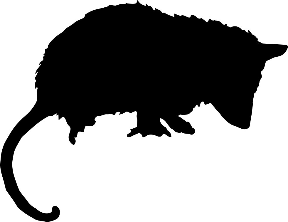 Opossum Mammal Animal Silhouette Comments - Opossum Icon (981x756)