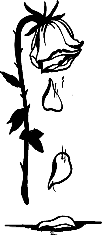 Continue Shopping - Backpack (336x774)