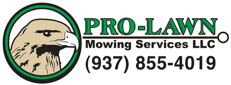 Pro-lawn Mowing Services Llc - Windows Xp (800x304)