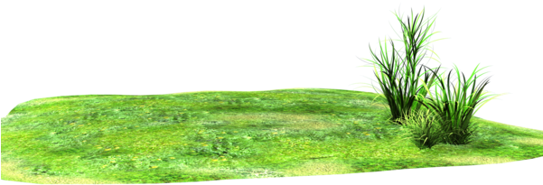 Lawn Clipart Land - Land And Grass Png (600x706)