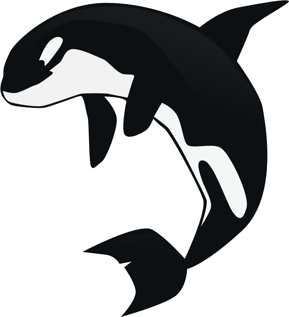 Killer Whale Clipart Transparent Background (1024x1024)