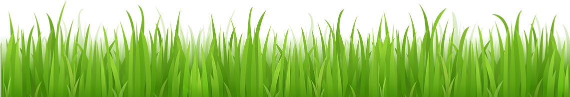 Lawn Clipart Transparent - Grass With No Background (1140x460)