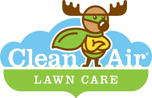 Starting A Green Business, Lawn Mowing Franchise - Lawn (500x324)