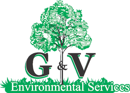 Landscaper, Commercial Landscape Design, Residential - Garden (454x326)