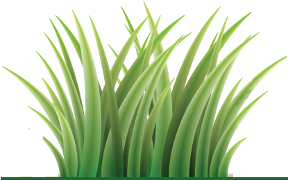 Luna Lawn Care Services, Hardscaping, Lawn Mowing And - Lawn Care Logo Png (414x322)