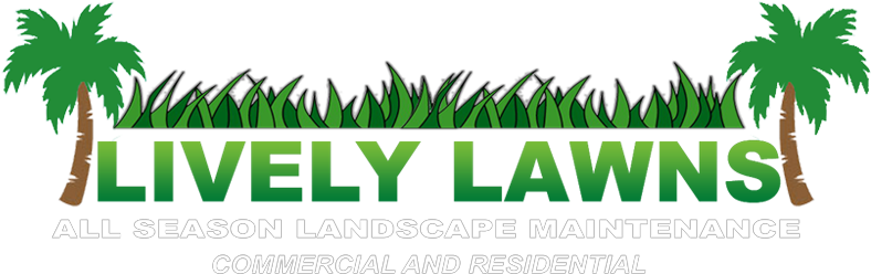 Lawn Mowing - Palm Tree (808x295)