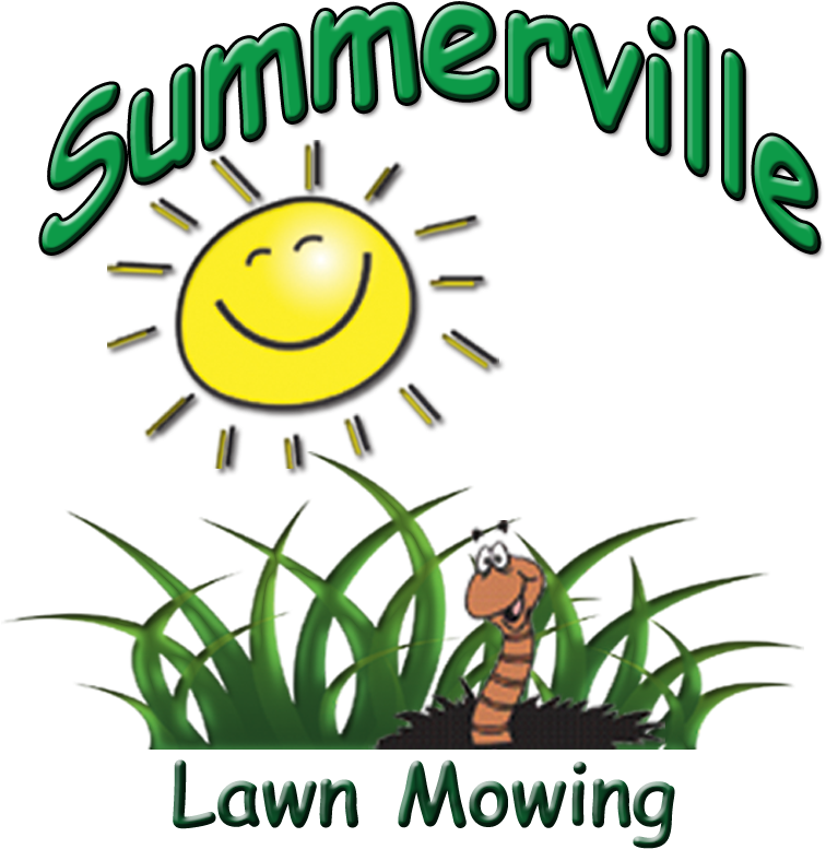 Image Description - Smiley (864x867)