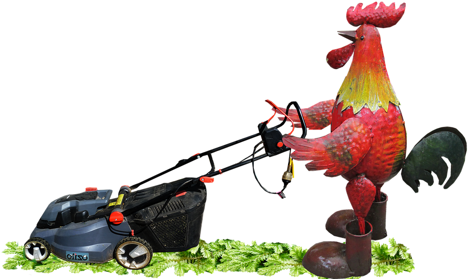 Lawn Mower Cartoon 7, Buy Clip Art - Rooster Mowing Lawn (960x576)