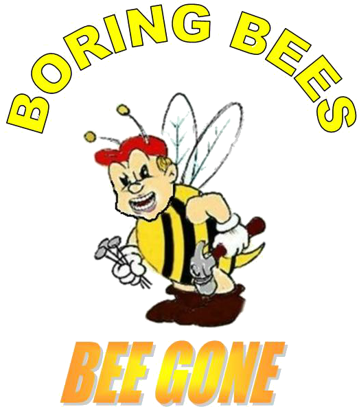 Bee Trap - Bee (567x648)