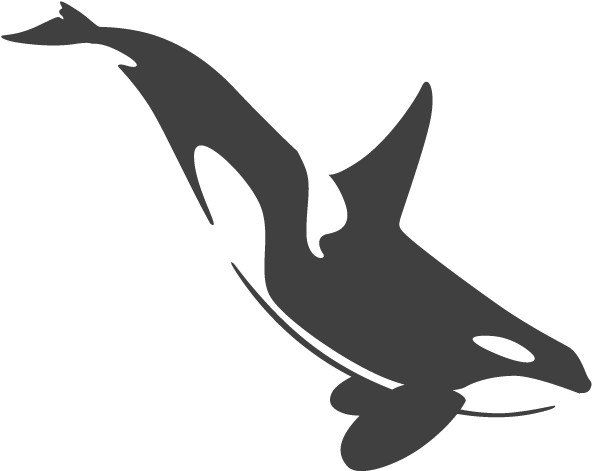 Orca - Orca Graphic (600x492)
