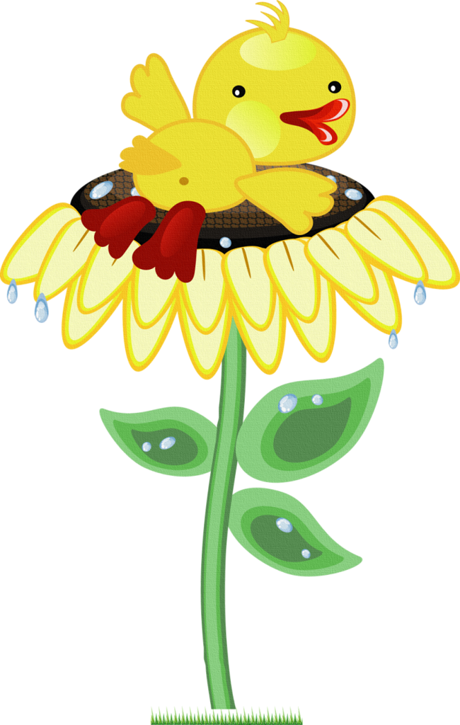 Vector Graphics (650x1024)