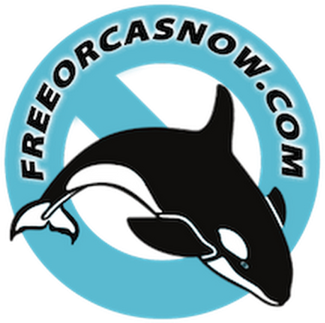 Photo - Orca Wax Seal Stamp (530x530)