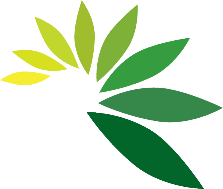 Green Leaf Logo Png (772x656)