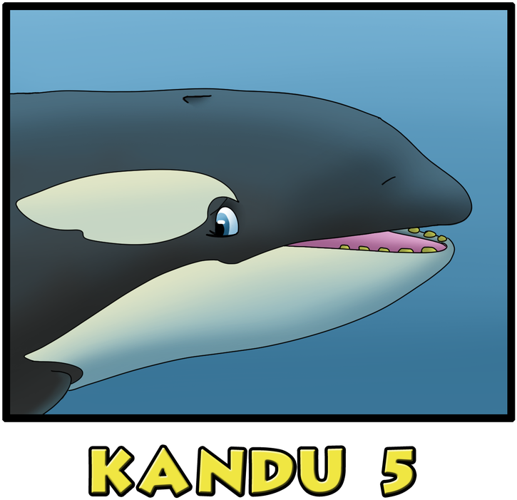 Picture - Kandu 5 Orca (810x800)