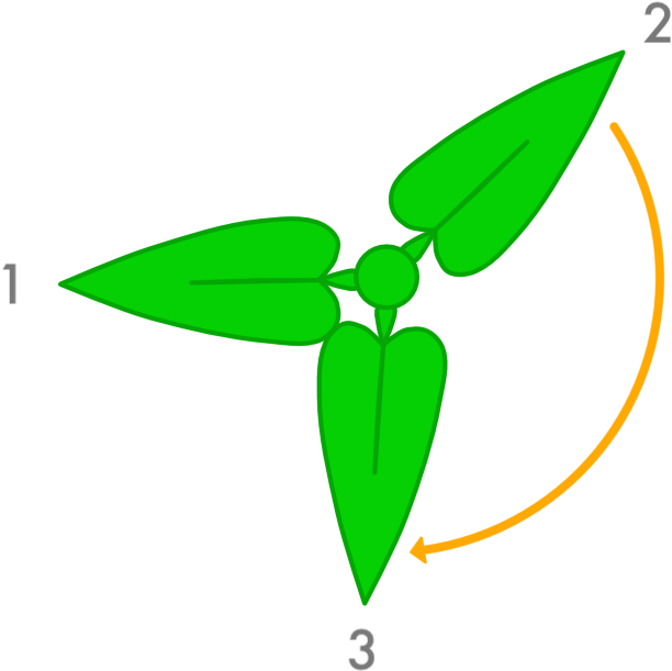 Leaf Growth - Golden Anglr (753x662)