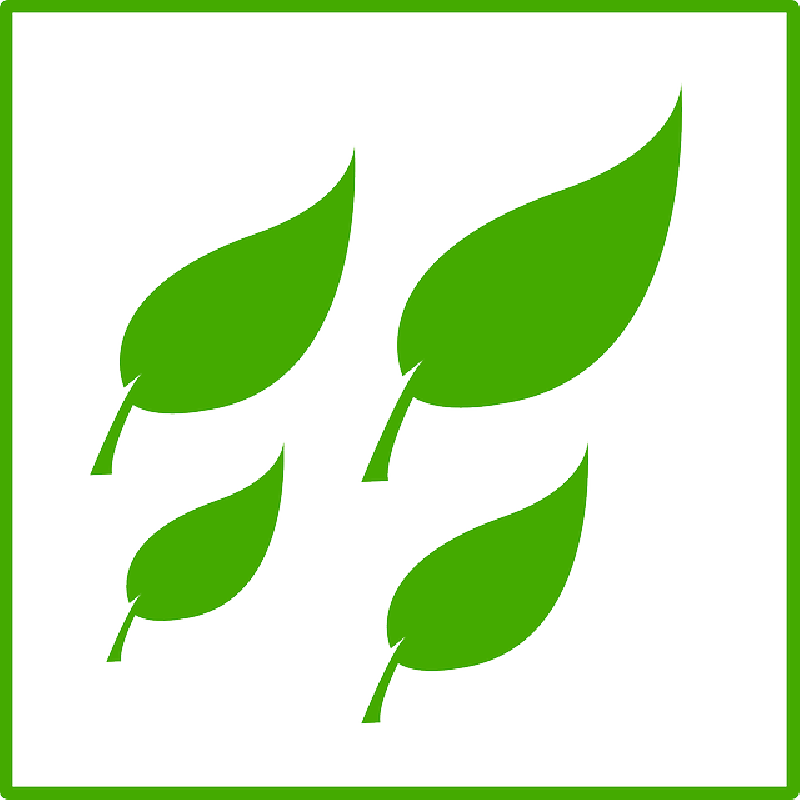 Ecology, Green, Leaf, Leaves, Symbol, Sign - Leave Green Eco Icon (800x800)
