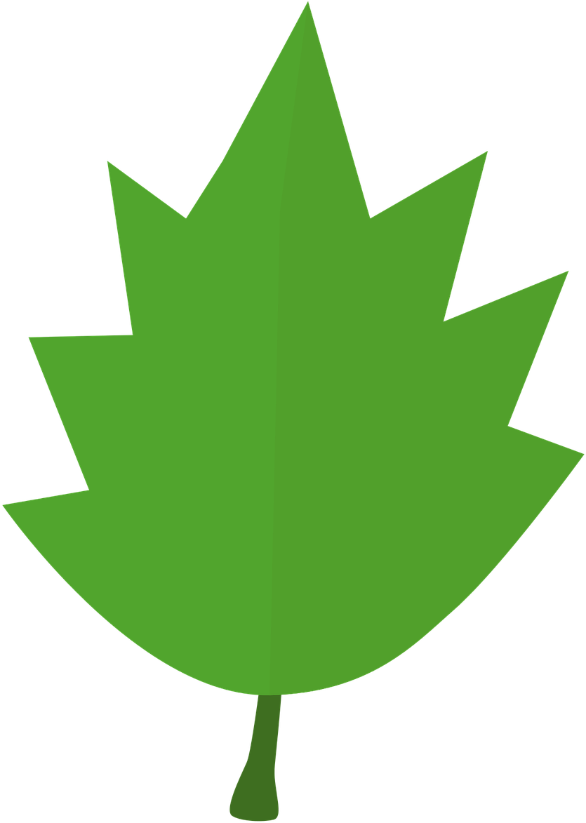 Leaf Tree Autumn Green Garden Png Image - Hojas De Otoño Verde (1280x1280)