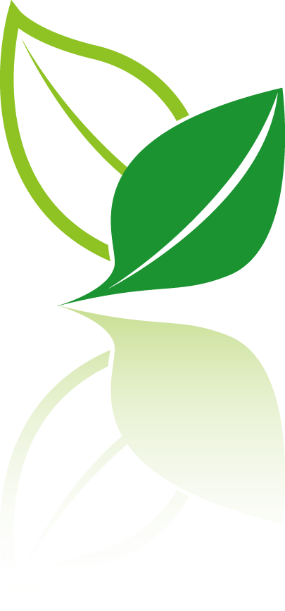 Tea Logo Icon - Ícone Folha Png (405x868)