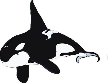 The Dive Room Quality Gopro And Dive Accessories At - Killer Whale (433x333)