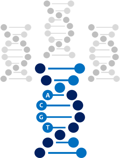 Overview - Adn Icon (483x618)