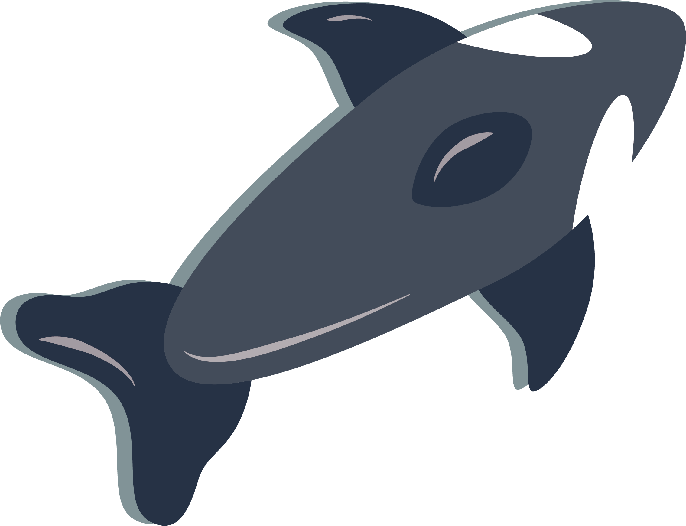 Chilean Dolphin Clip Art - Chilean Dolphin Clip Art (2269x1739)