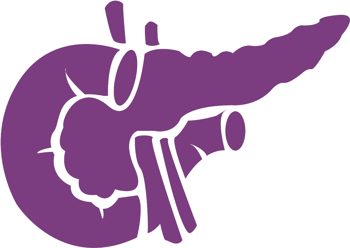 Pancreas Noun 959960 7b3d80 - Pancreas (1200x1200)