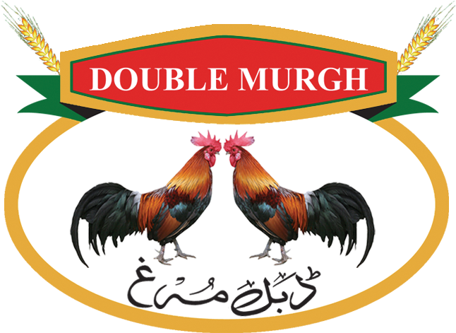 Learn More - Cock Sucker Oval Car Magnet (736x494)