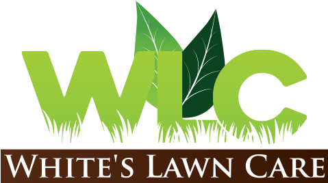 Wind That Shakes The Barley (512x512)