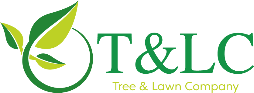 We Offer Reliable And Reputable Lawn Care And Tree - Primate Adaptation And Evolution (900x367)