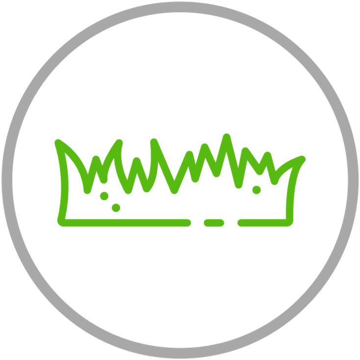 Lawn Aeration - Soil Moisture Sensor (800x800)
