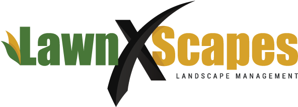 Site Mobile Navigation - Periorbital Dark Circles (612x225)