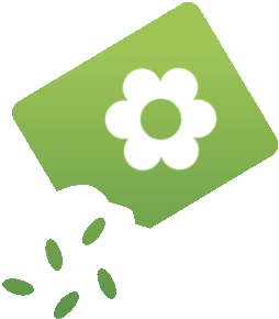 Pin It On Pinterest - 500 Seeds, Blue-eyed Grass (sisyrinchium Bellum) (350x346)