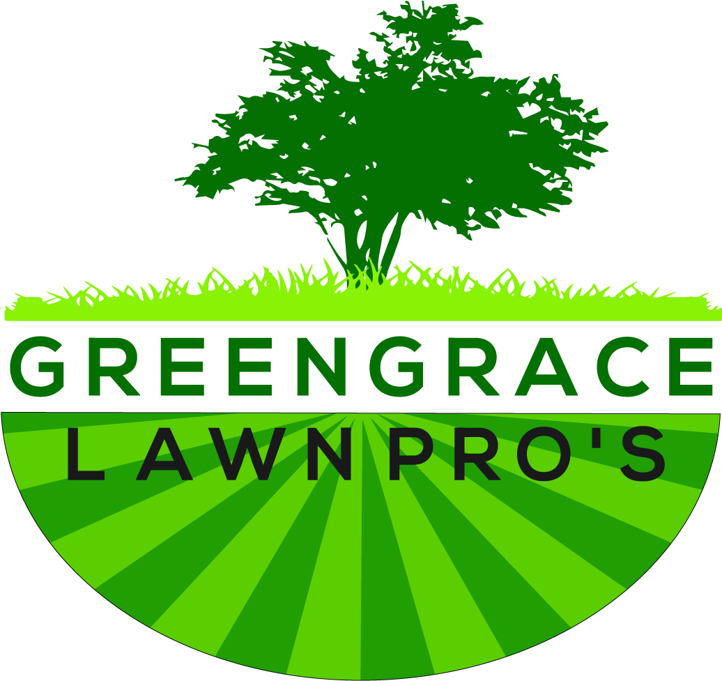 Lawn - Tree (1700x1500)