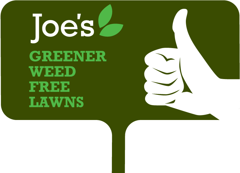 Joes Lawn Care - Total Volunteer Force: Lessons From The Us Military (919x620)