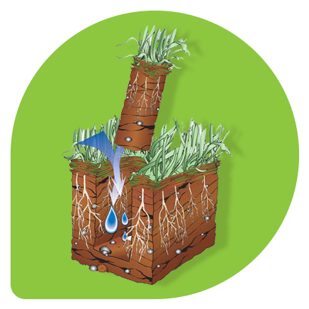 Greenmark Lawn Core Aeration - Chocolate Cake (504x504)