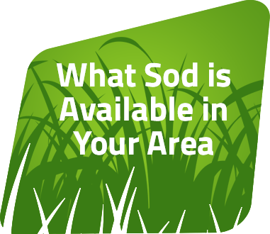 Our Fresno Delivery Area Covers Central Californiam - Grass (381x330)