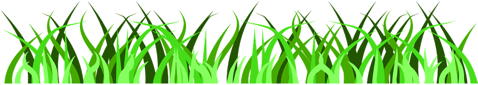 Lawn Care Clipart 20, Buy Clip Art - Scavenger Hunt Ideas For Zoo (960x480)