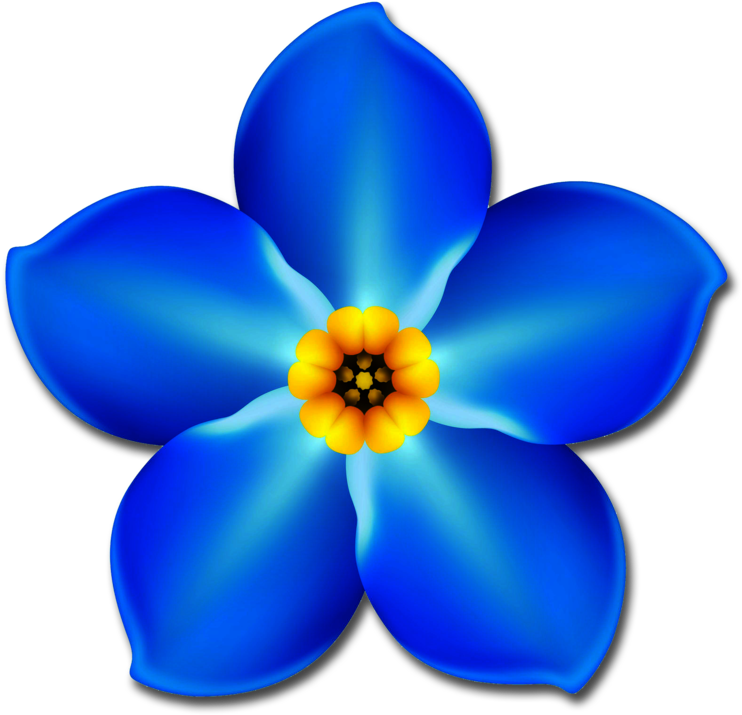 Just Click On The Button To The Left And Download Your - Forget Me Not Flower Transparent (774x784)