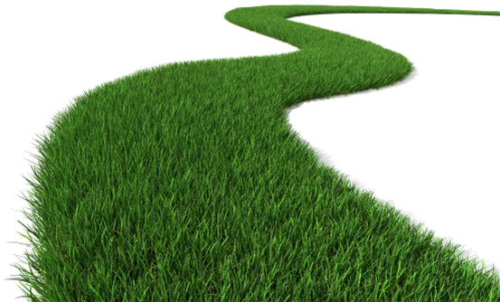 Our Loyal Clients Have Benefited From Our Expertise - Lawn Png (554x367)