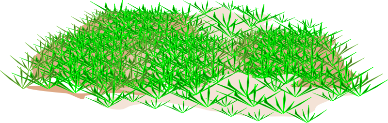 The Obvious Advantage Of Repairing The Lawn Is A Cost - Portable Network Graphics (800x254)